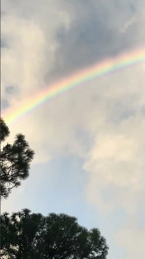 Gay Cloud