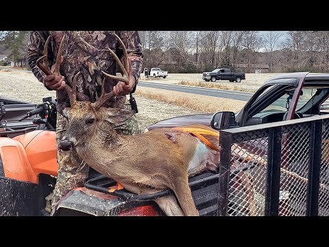 BIG Buck Down | Deer Hunting with Dogs