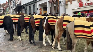 Pferdemarkt in Leonberg: Tipps und Infos zum Finale furioso am Dienstag mit Pferden, Partys und Festumzug