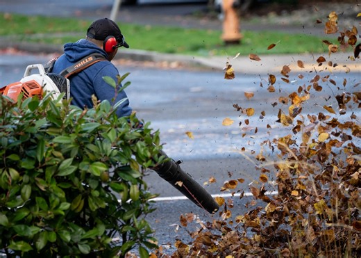 Ban on gas leaf blowers passed in Portland; gradual phase-out begins in 2026