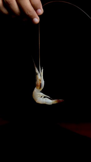 Shrimp Dal Pakora ASMR Cooking 🦐🍤 #shrimp #reelsvideo #foryou #viralreels #asmr | HomeCook ASMR