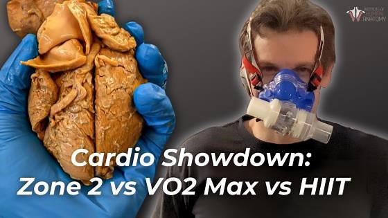 Best methods for cardiovascular training