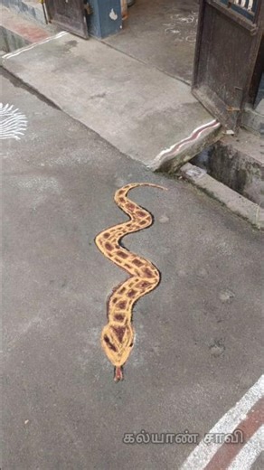 python art but not perfect / #art #python #shorts #song #music #trending