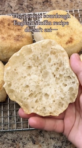 The secret to perfect sourdough English muffins at home