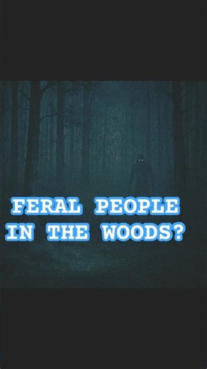 The Sound That Made Campers Flee in the Middle of Night #terrifying #creepy #scary