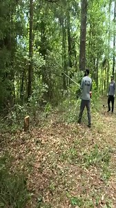 We Were Shocked At Who We Found Buried In This Hidden Cemetery | Daily TKlawns