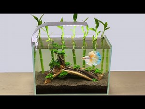 How To Make Simple Desktop Mini Fish Tank with Lucky Bamboo - DIY Mini Aquascape (Planted Aquarium)