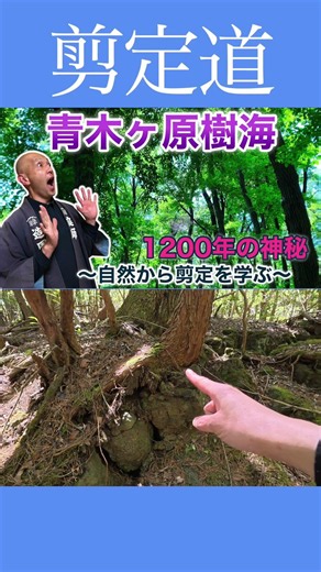 《Hiking in the Forest of Moss!!》A Walkthrough of the Aokigahara Forest #NatureWalk #MtFuji #Sceni...