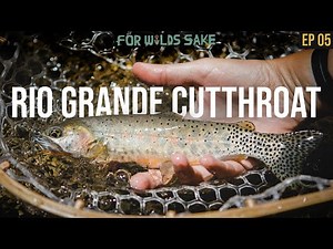 IN SEARCH OF AMERICA'S FIRST TROUT || For Wild's Sake: The Rare Trout Chronicles | Episode 5