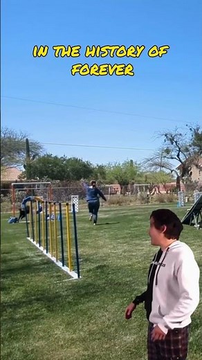 Dog Agility Training is my Life