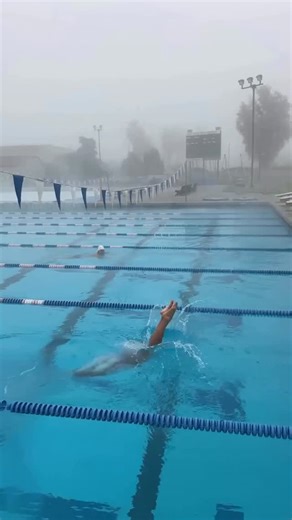 SwimSwam on Instagram: "Need this in a 10 hour loop immediately @seanhkao #swim #swimming #asmr #satisfying #olympics"