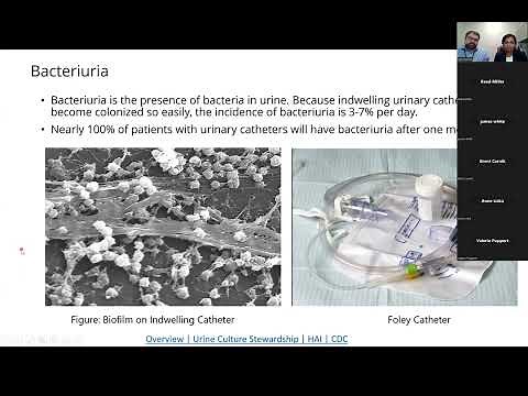 Asymptomatic Bacteriuria and UTI