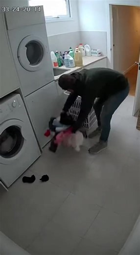 Beagle's Hilarious Encounter with a Washing Machine