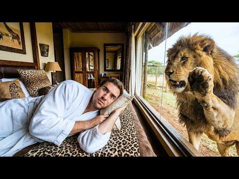 I Stayed at "Wild" Hotels