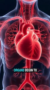 “How a Bullet Can Kill You 😳🔍” #health #bullet | BODY FACTS 3D