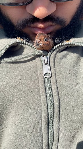 My brother petting quail 🥰 she’s cute playing hide and seek 😅 #birds #Quail #quailover #fypageシ #animallover #followers #petlovers | My lovely Animals