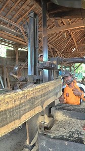 WOOD vs. STEEL: Total Destruction 🪵⚔️ #sawmill #satisfying #asmr | Sawmill & Woodworking