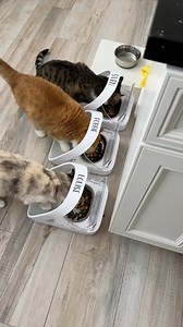 115K views · 602 reactions | All about our feeders. Frequently...