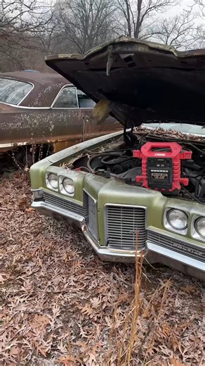 One of the coolest cars I’ve found at the junkyard 1 owner #Pontiac #junkyard #junkyardfinds #coldstart #sbc | JuryriggedAuto