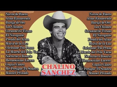 Bermuda Triangle Mystery – Ships and Planes That Vanished Without a Trace