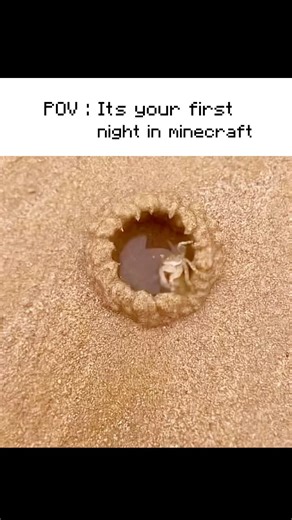 “Comment YES if you agree.✅👈🏻 #minecraft #minecraftshorts
