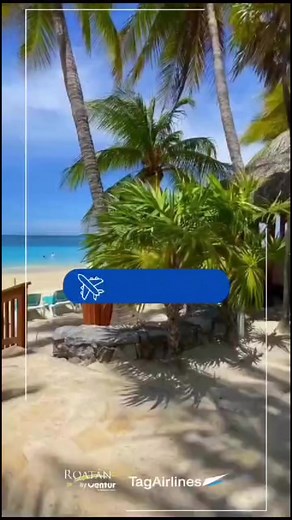 2K views | ROATAN! 2024 desde USD$499 con BOLETO AEREO y HOTEL incluido! Desde 02 hasta 07 noches!! Salimos TODOS los martes , jueves y domingos en VUELO ✈️ DIRECTO desde Guatemala ! ☎️ envíanos un WhatsApp al 22157306 para RESERVAR ➡ REQUISITOS de viaje: DPI ó pasaporte vigente (con cualquiera de los 2 documentos puedes viajar a Roatan) no necesitas VISA | GuateVacations | Facebook