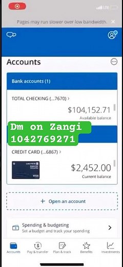 Learn how to spam and cash out bank logs in 2024/2025