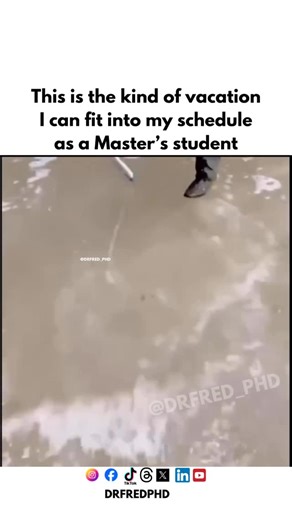 Dissertation Writing Service | Coach on Instagram: "you dreaming of a beach vacation… so you create your own “resort experience” with tap water and imagination. 😭🌴 Because honestly, this is the only kind of getaway a Master’s student can squeeze between deadlines. Tag a friend who also needs a budget-friendly vacation 😂 DM me “DRHELP” to get personalized assistance with proposals, assignments, thesis chapters, presentations, or literature reviews. #mastersstudent #gradschoollife #academiclife