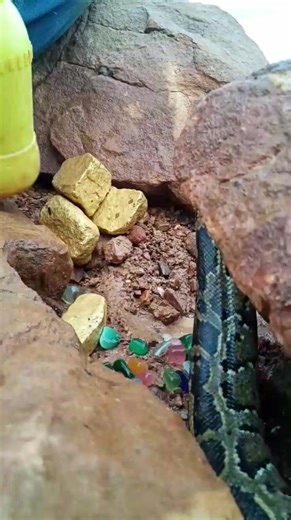 1.9M views · 2.8K reactions | Gemstones, gems ,expensive, diamond #amazinggold #shorts #tricks #tips #treasure #hunting #hunter #findgold #treasure #findinggold #treasurehunting #gemstones #gemstone #most #valuable #gemstones #mostexpensive #crystals #mostexpensive #gemstones #snake #python #holesnake #bigsnake | MY CAT | Facebook