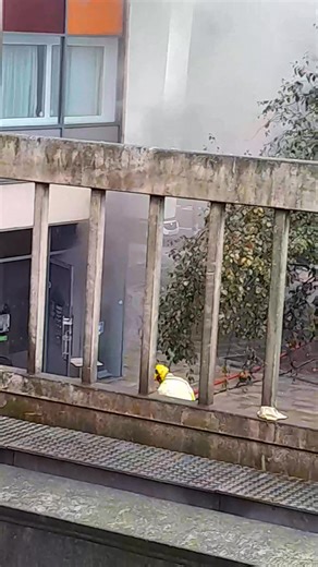 Costa Coffee on fire 🔥 | Lisa Atkinson