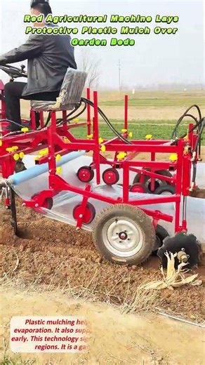 Red Agricultural Machine Lays Protective Plastic Mulch Over Garden Beds