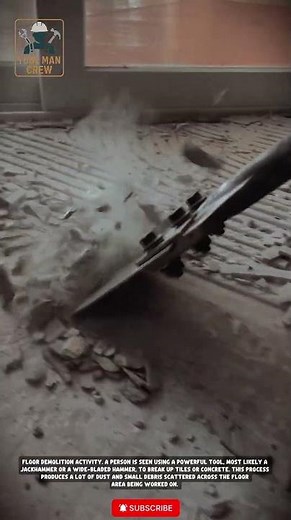the use of a power scraper or powered scraper to dismantle floor tiles and other materials #tools