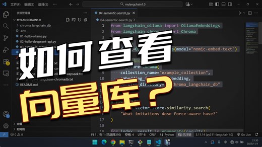 最新 Langchain1.0 入门【7】写一个简单的 chromadb 查看工具