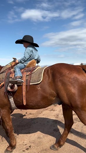 As Cool as Jasper: A 3-Year-Old Cowboy Adventure with Flicka