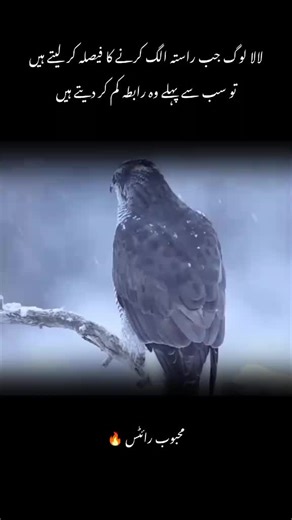 Sssss Saba g (@sssss.saba.g)’s videos with original sound - Sssss Saba g