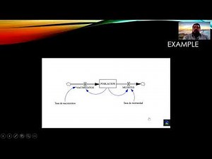 Basics to Dynamic Modelling