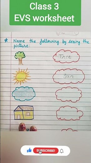 Class 3 EVS worksheet half yearly exam #shorts