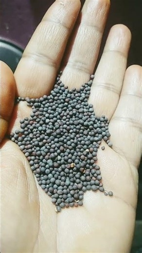 Jo mahila Apne bacchon ke kapdon se pocha lagati Hai 🙏🏻🙏🏻🙏🏻 upay#short video