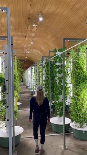 1.5K views | Aqua Garden is an indoor vertical farm featuring several hundred aeroponic towers that are connected to an aquaponic system using walleye fish to nourish the plants. #aeroponics #aquaponics | Freama Shanta | Facebook