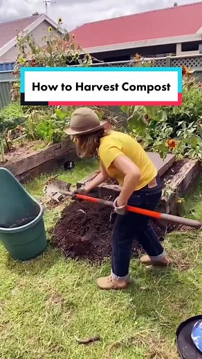 The Compost Coach on TikTok