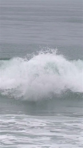 Is this a swan dive or flop?