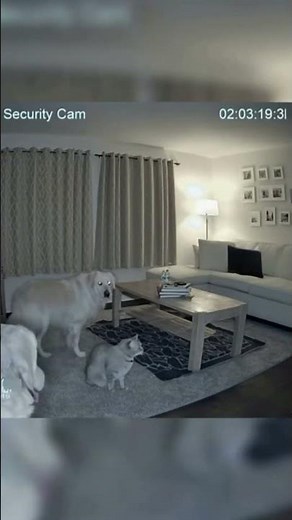 Cold Breeze from an Empty Room… What Walked By? 😨👻 CCTVFootage #ParanormalActivity #HauntedRoom