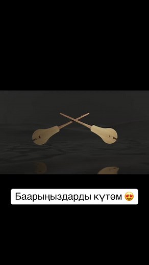 Barañi Musical Performance Featuring Traditional Instrument