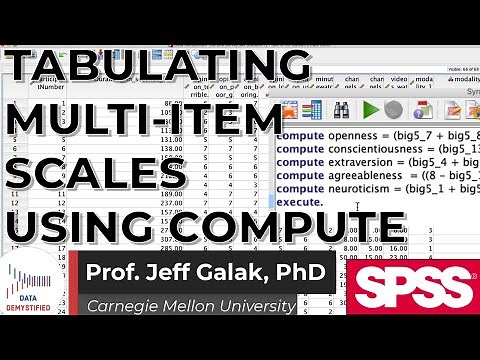 Computing Multi-Item Scales in SPSS (SPSS Tutorial Video #3b): Big 5 Personality Inventory