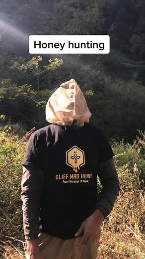 Unique Experience of Honey Hunting Adventure