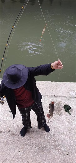 CEO tik tok on TikTok