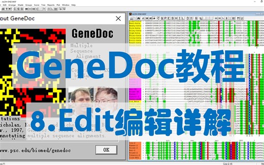 【四方居士】GD#8多序列比对美化软件GeneDoc编辑功能介绍