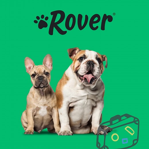 Download Rover and connect with trusted pet sitters and walkers in your area. | Rover.com