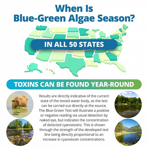 Blue-Green Algae Water Test - Results In 15 Mins