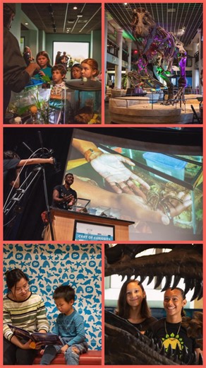 Make your summer a dino-mite summer with a visit to the Academy of Natural Sciences! Fun and hands-on daily activities July through August mean each trip will bring a new learning experience. | The Academy of Natural Sciences